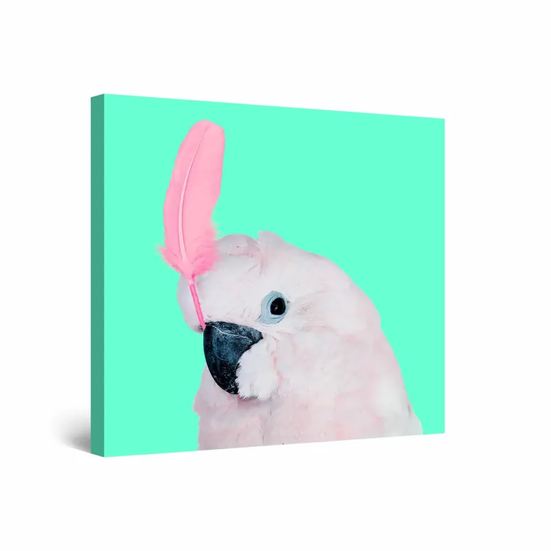 Next Product Image